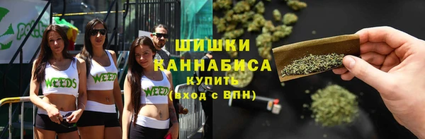 сатива Балахна